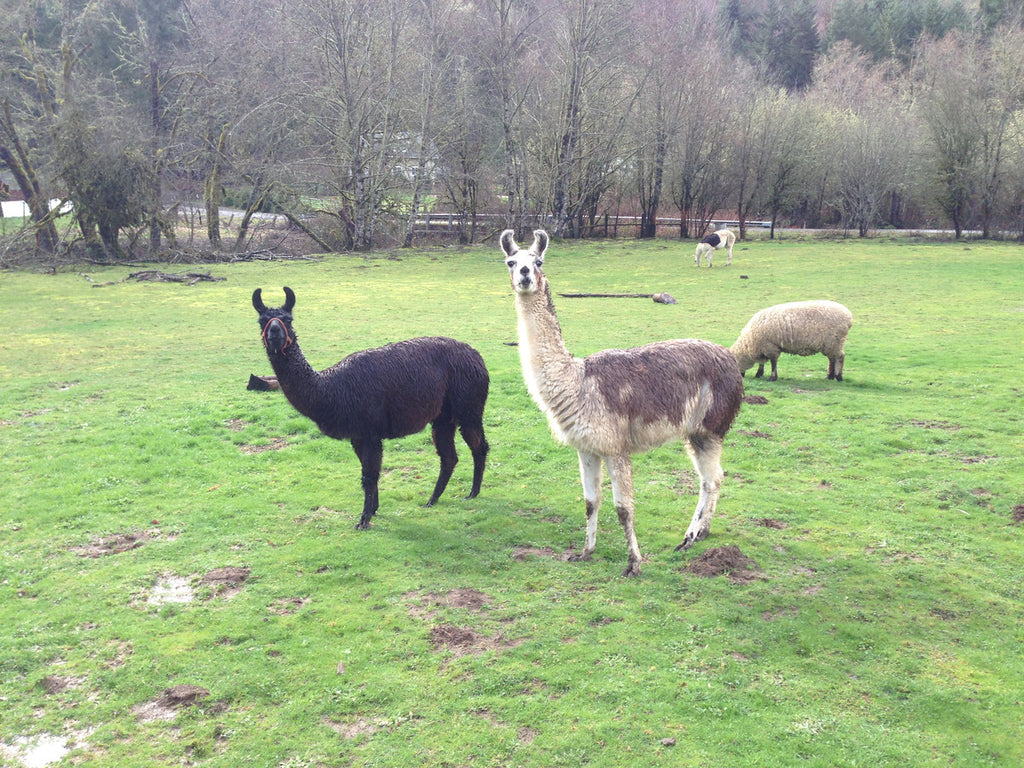 Universal Wellness Products photo 21